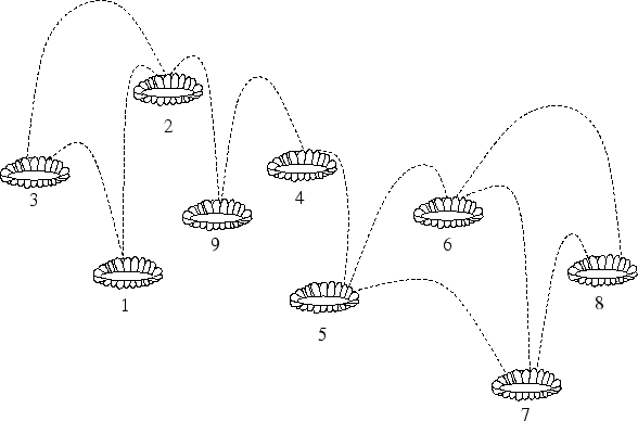 Diagram of possible frog leaps